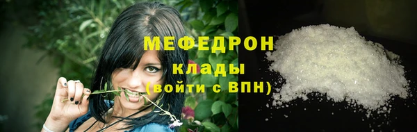 индика Абаза