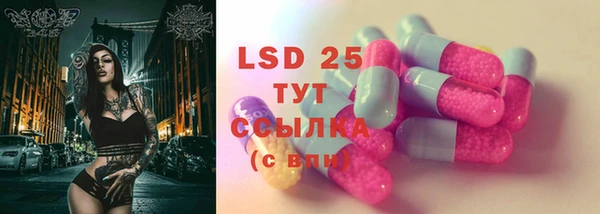 тгк Алзамай