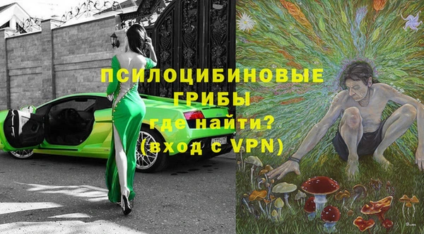 гашик Абинск