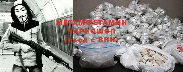 индика Абаза