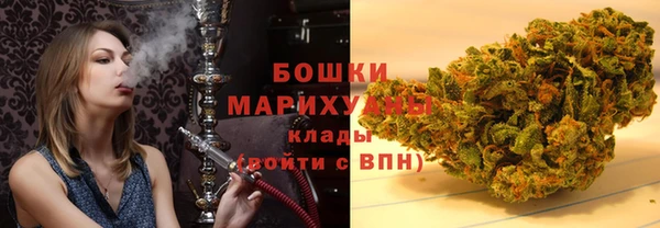 шишки Алексеевка