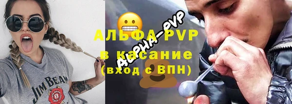 индика Абаза