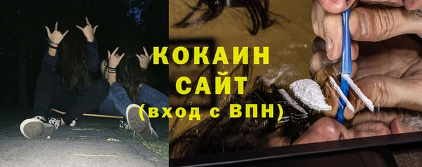 твердый Алексин